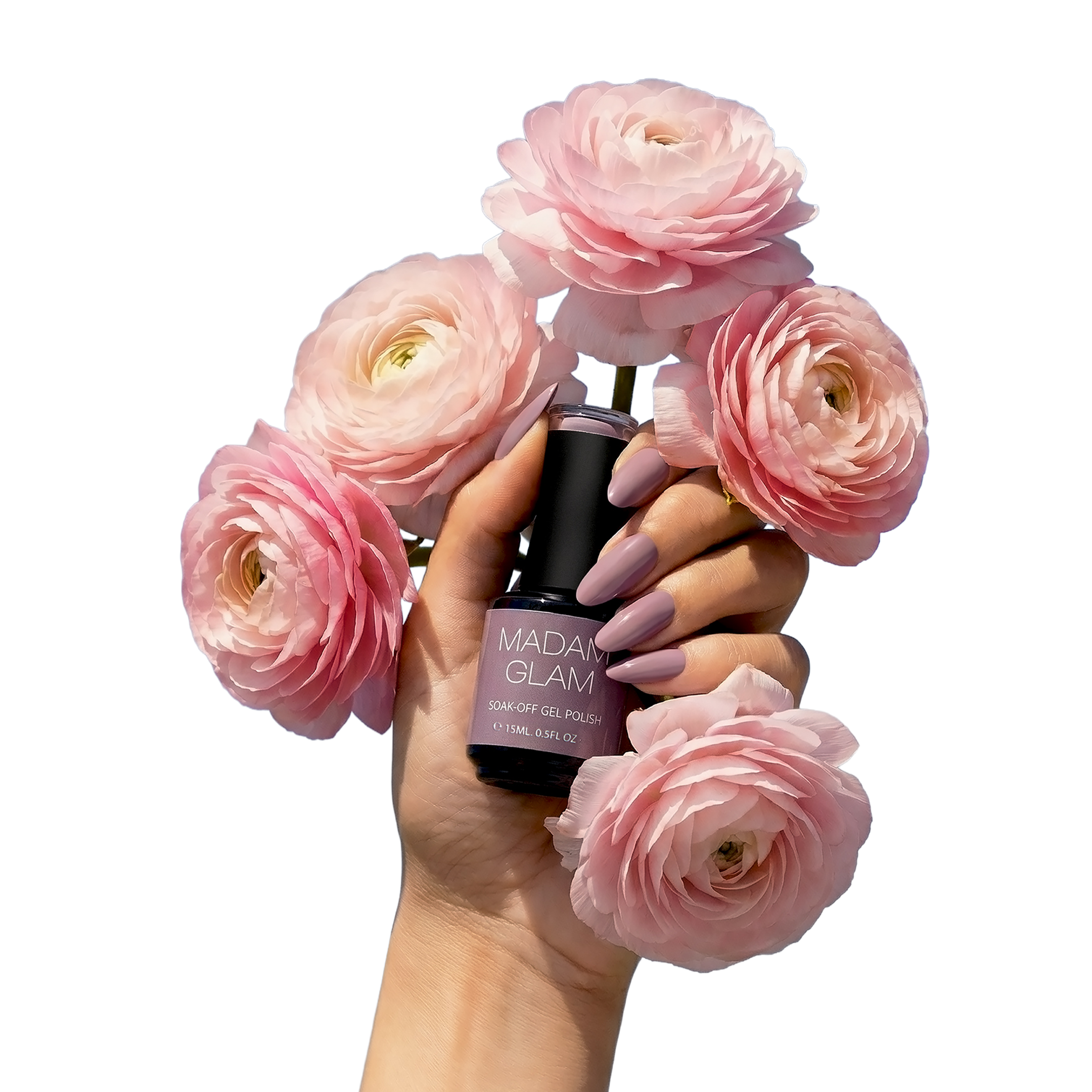 Dusky Rose